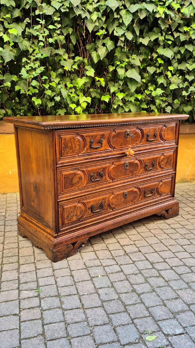 Commode bolonaise ancienne du XVIIe siècle en loupe-photo-2