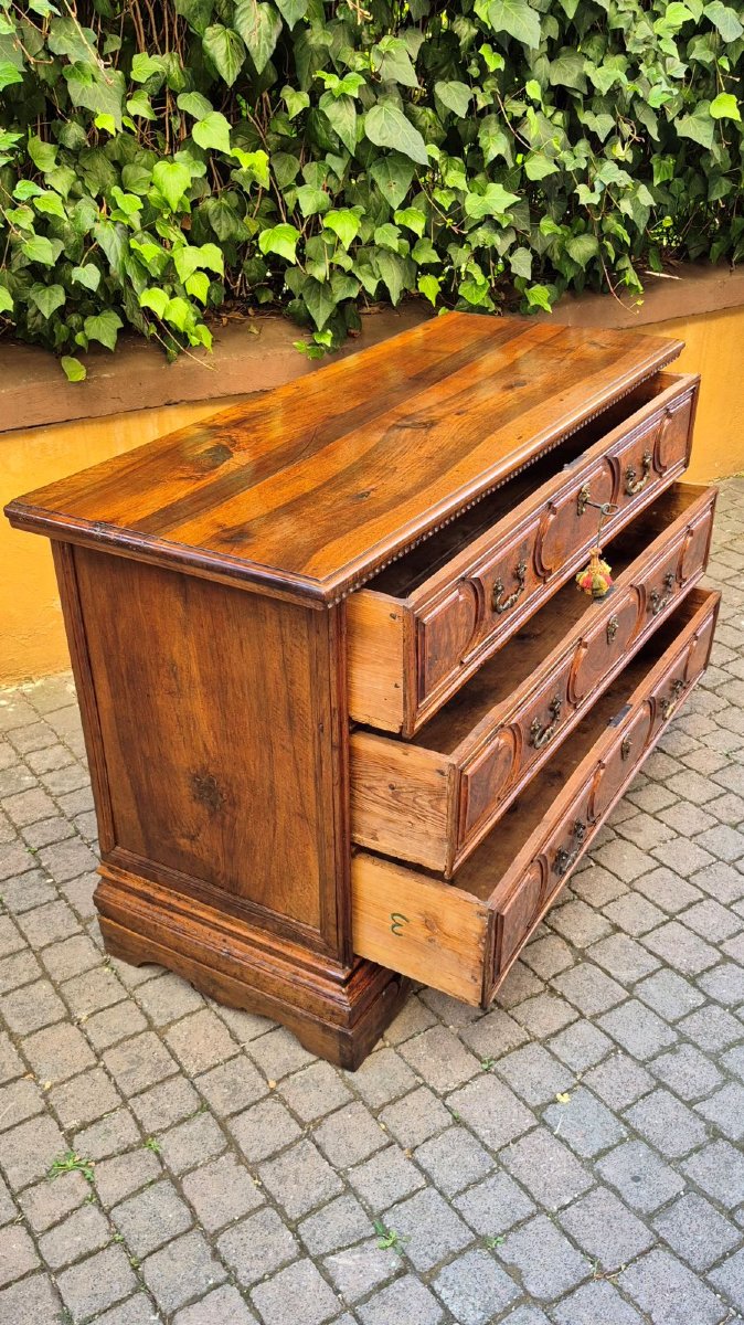 Commode bolonaise ancienne du XVIIe siècle en loupe-photo-3