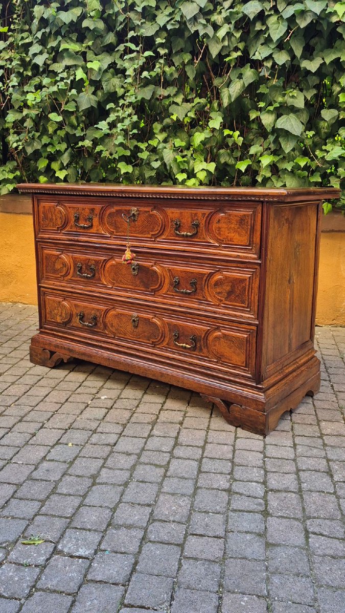 Commode bolonaise ancienne du XVIIe siècle en loupe-photo-6