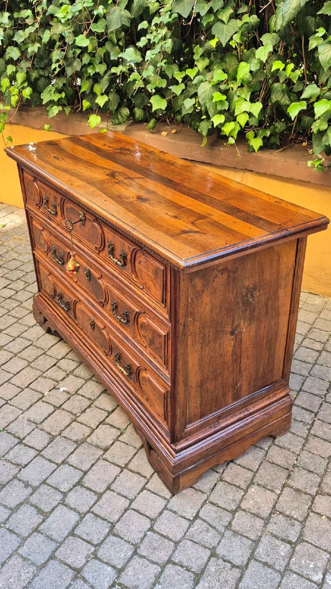 Commode bolonaise ancienne du XVIIe siècle en loupe-photo-7