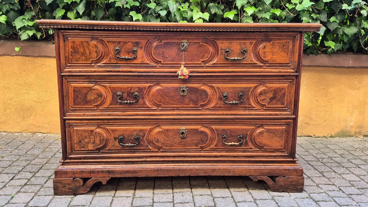 Commode bolonaise ancienne du XVIIe siècle en loupe