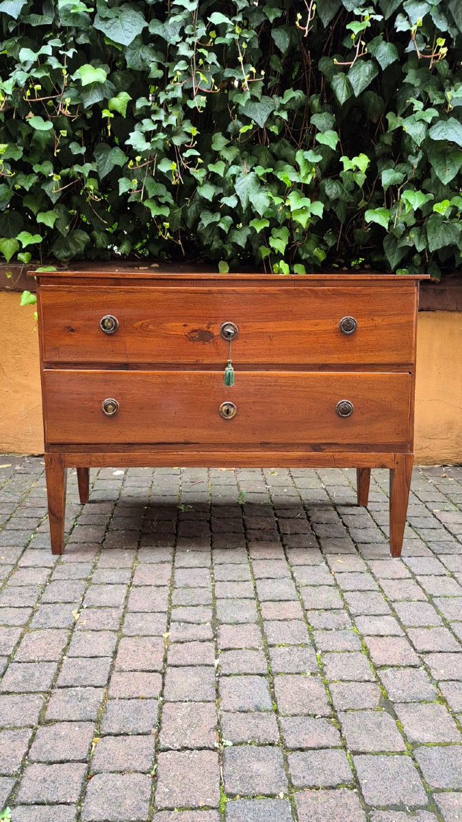 Small Antique Louis XVI-style Chest Of Drawers From Emilia-photo-2