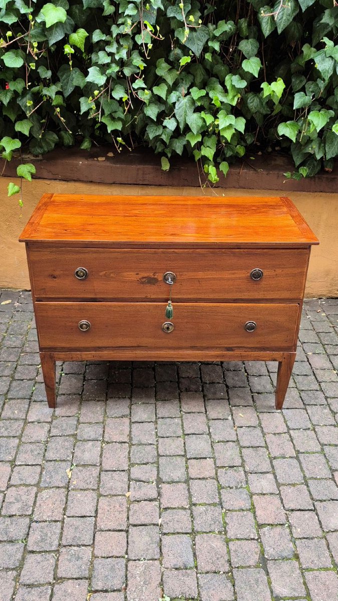 Small Antique Louis XVI-style Chest Of Drawers From Emilia-photo-3