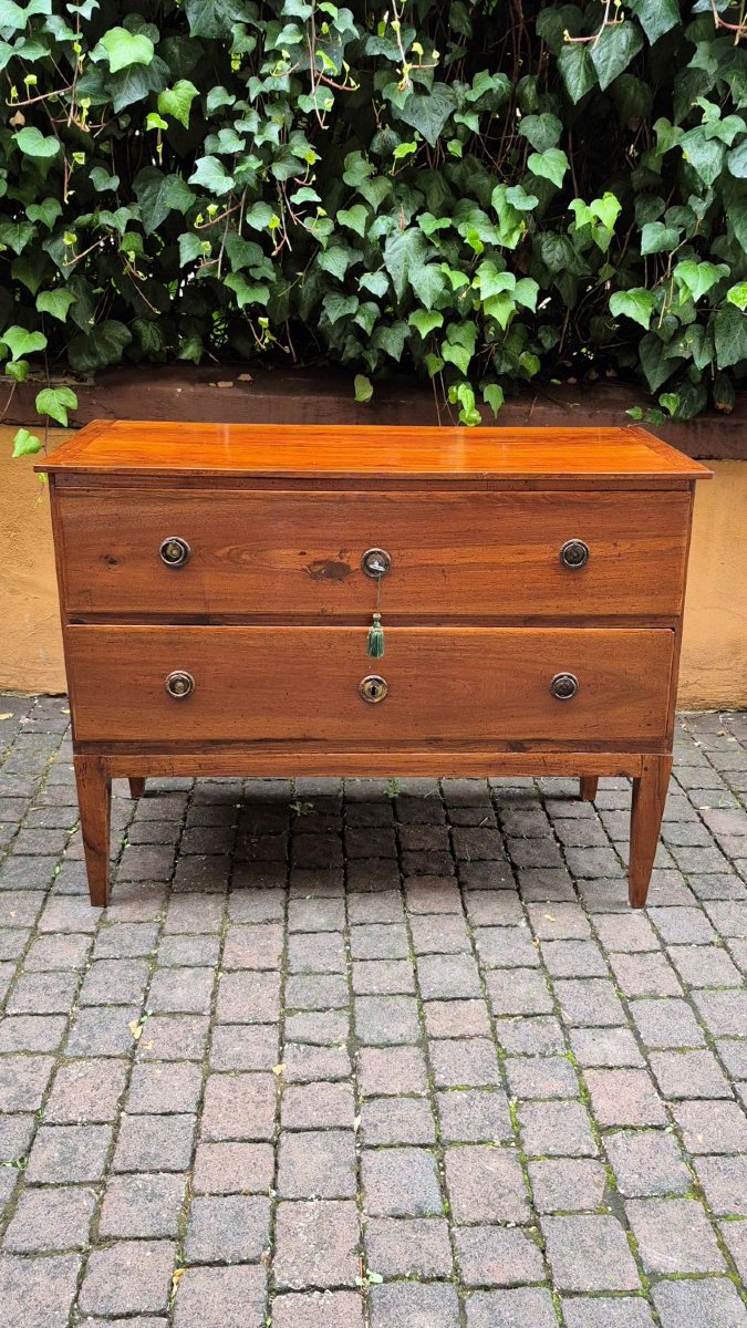 Small Antique Louis XVI-style Chest Of Drawers From Emilia