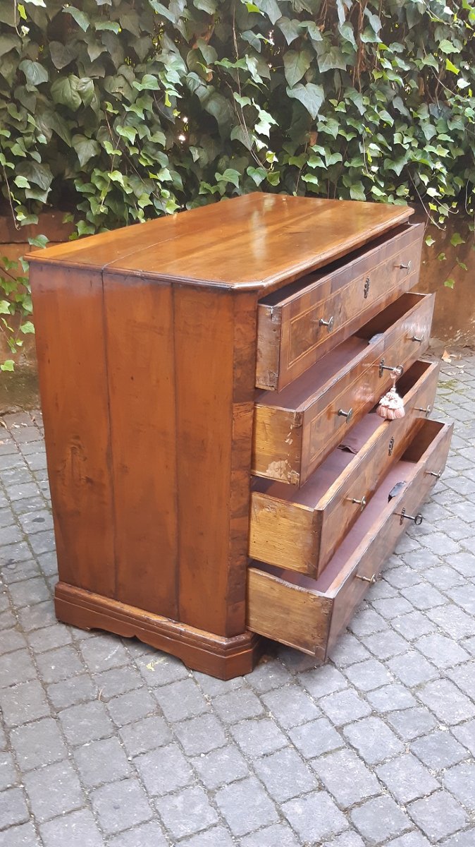Antique Emilian Chest Of Drawers Made Of Walnut From The 18th Century-photo-3
