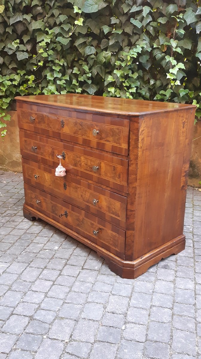 Antique Emilian Chest Of Drawers Made Of Walnut From The 18th Century