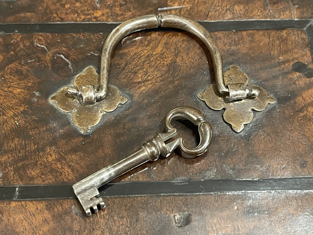Louis XIII Walnut And Fleur-de-lis Hinged Box XVII-photo-3