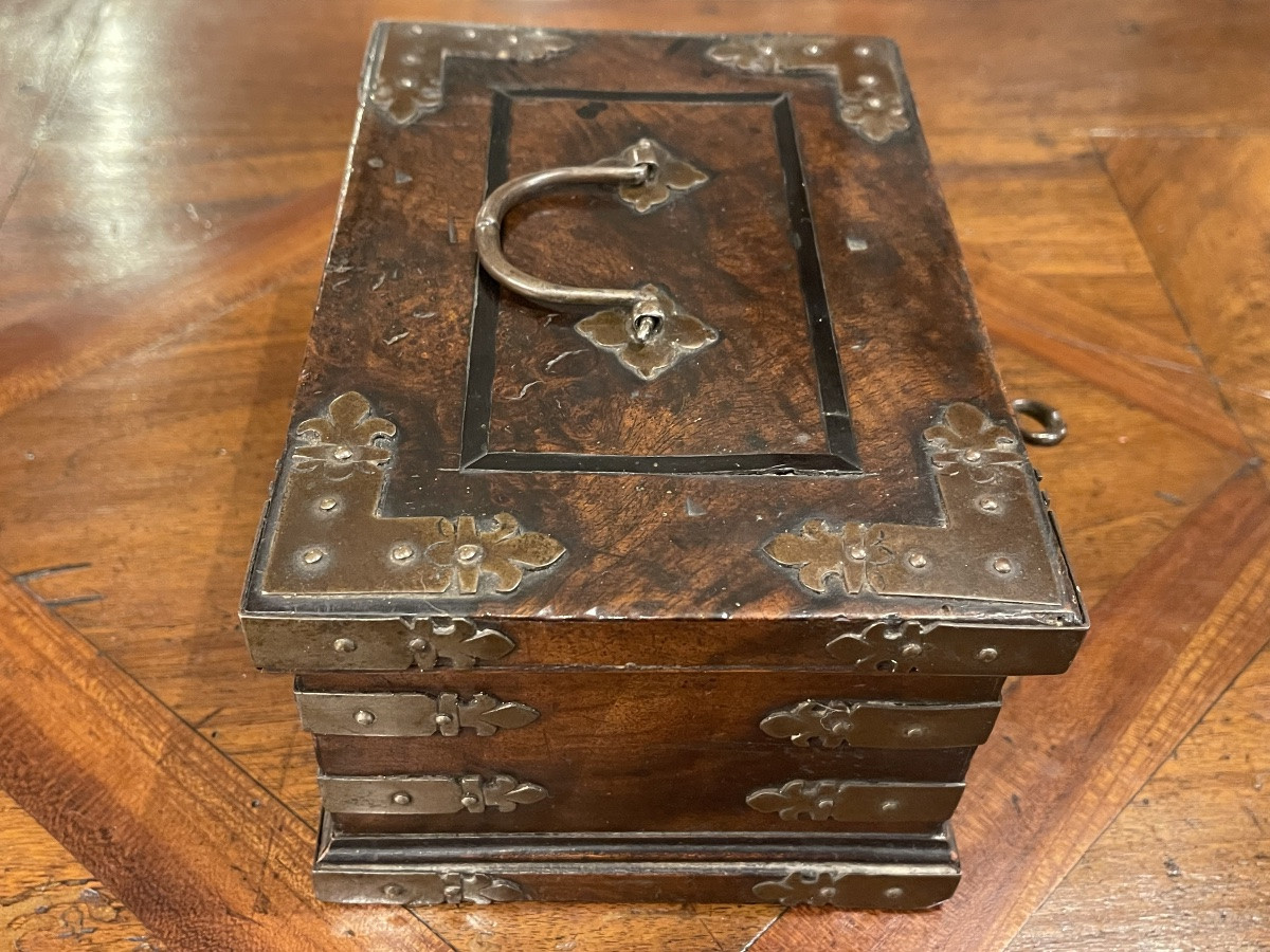Louis XIII Walnut And Fleur-de-lis Hinged Box XVII-photo-6