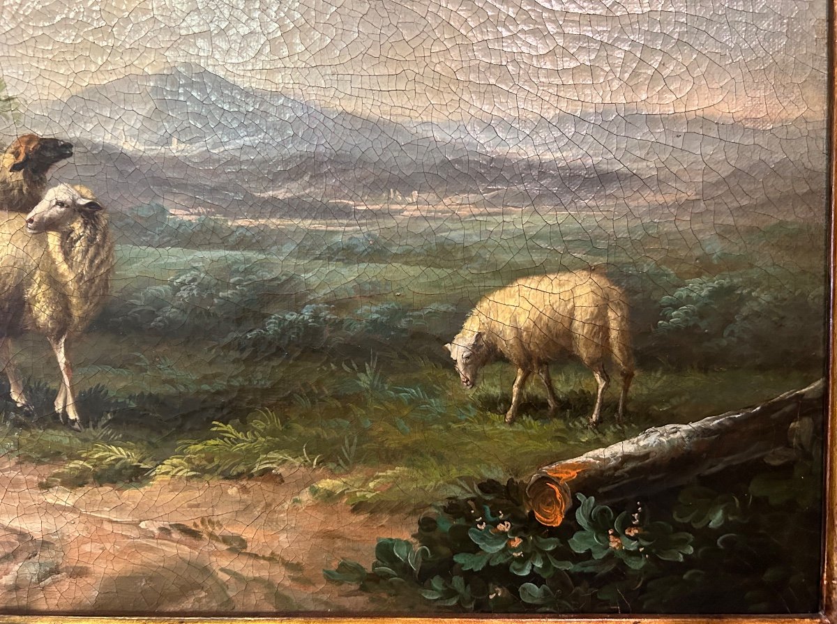 Eugène Verboeckhoven, Belgian Painter, Landscape With Sheeps-photo-1