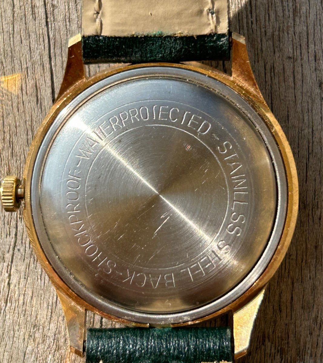 Provita Vintage Watch-photo-4