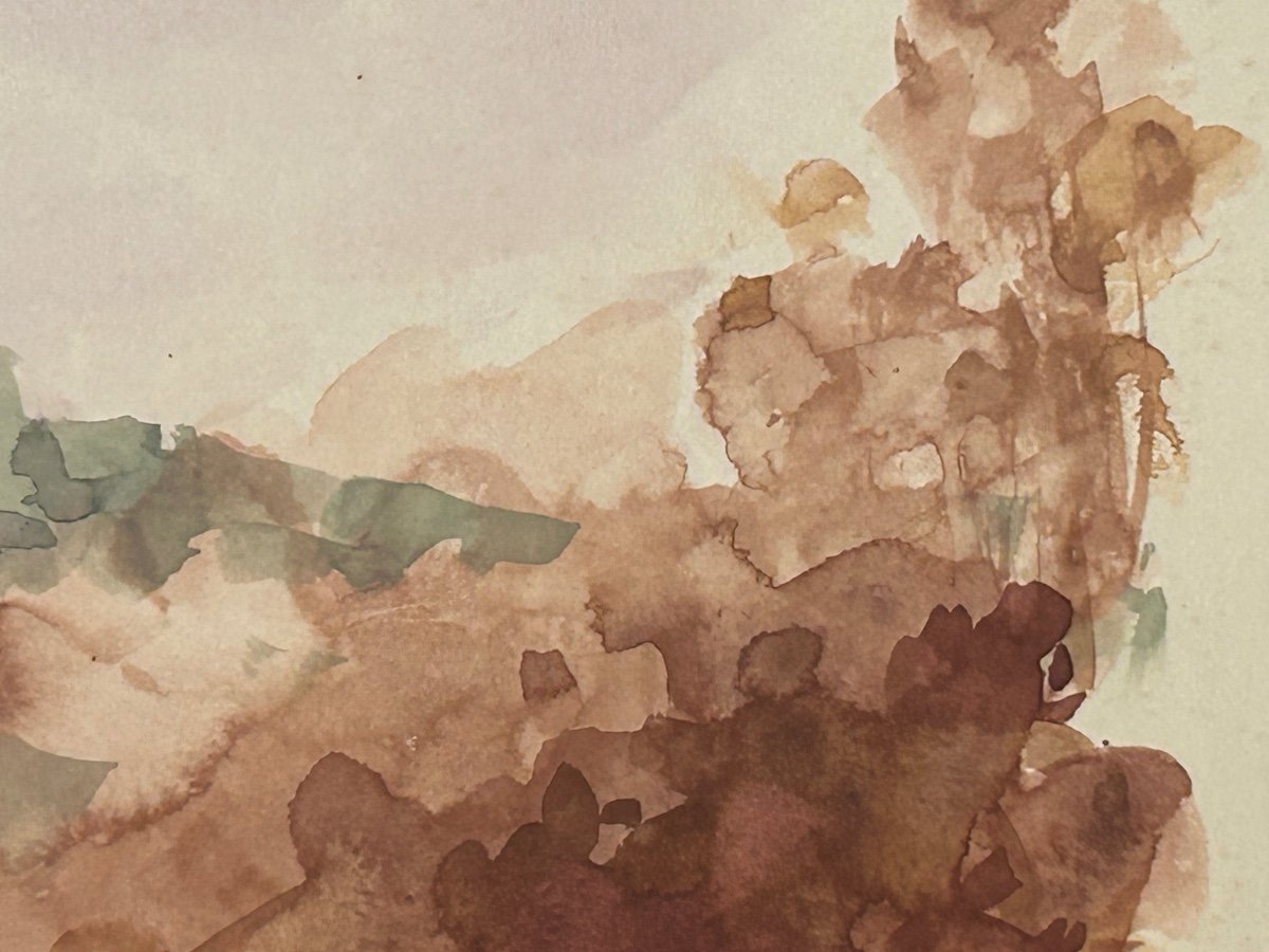 Roger De Coster, aquarelle sur carton -photo-4