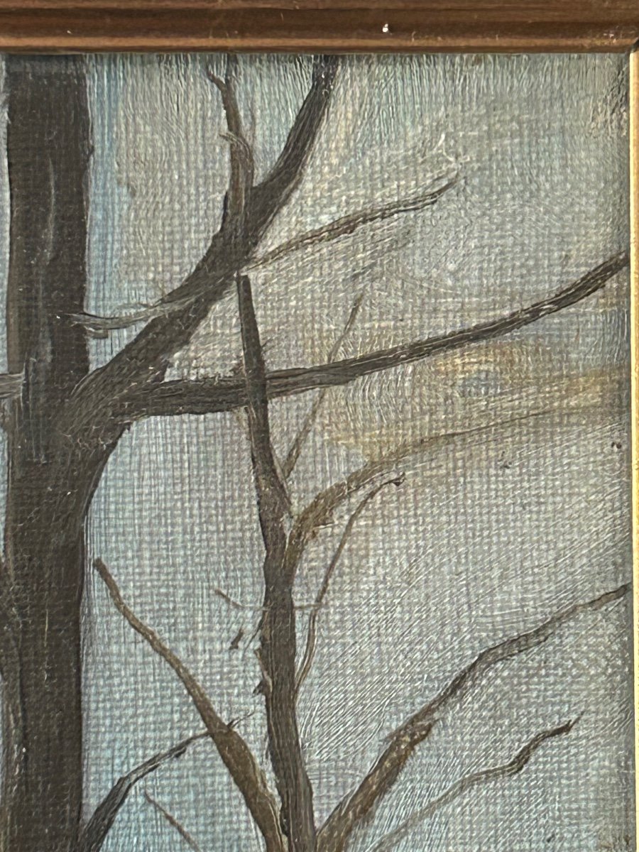 Huile sur toile, paysage de forêt monogrammé P.G-photo-1