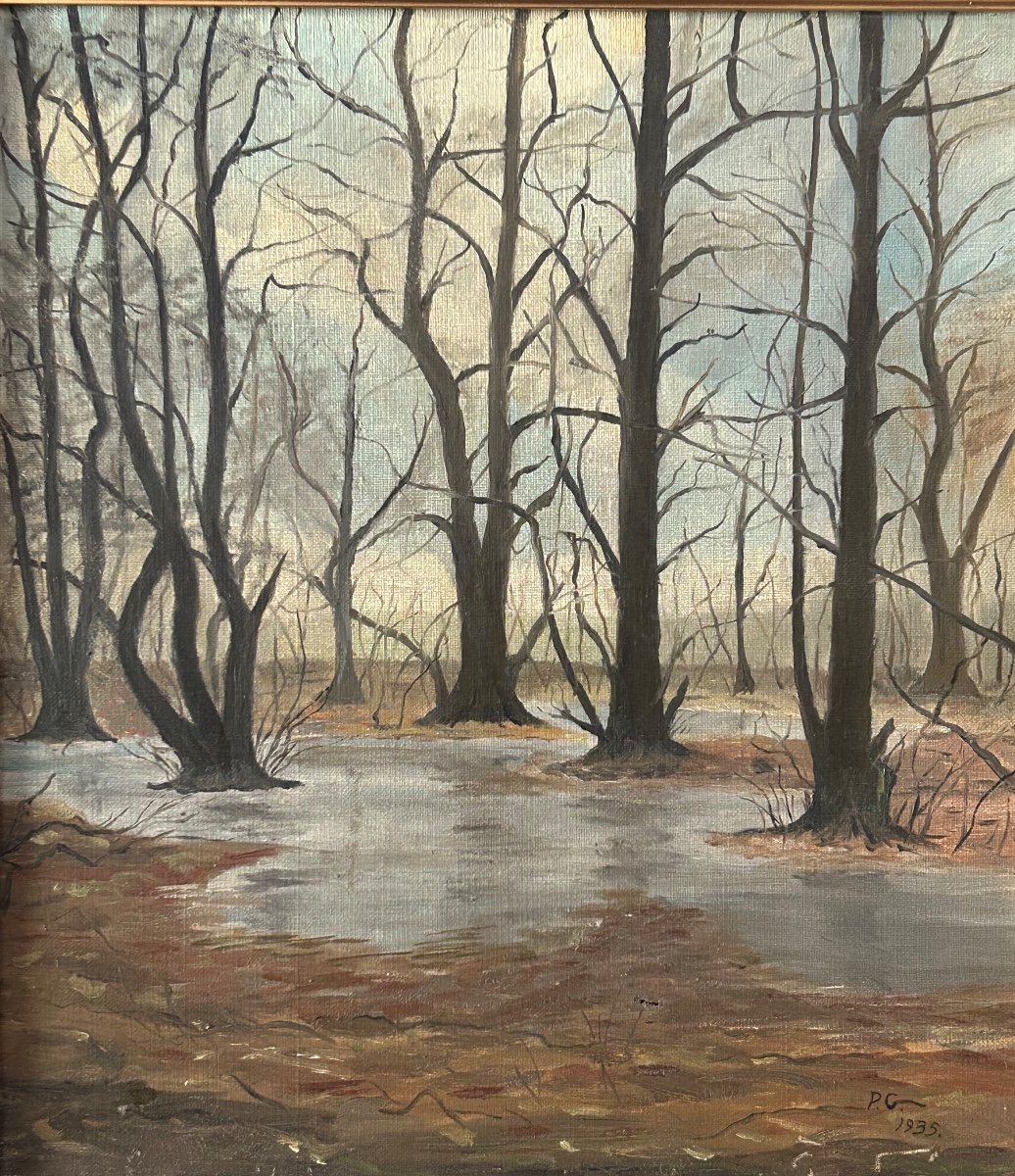 Huile sur toile, paysage de forêt monogrammé P.G