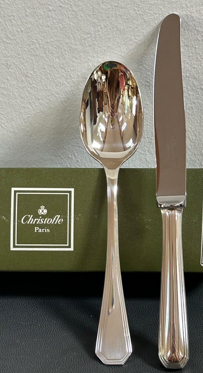 Christofle, 12 America Knives And 12 Dessert Spoons