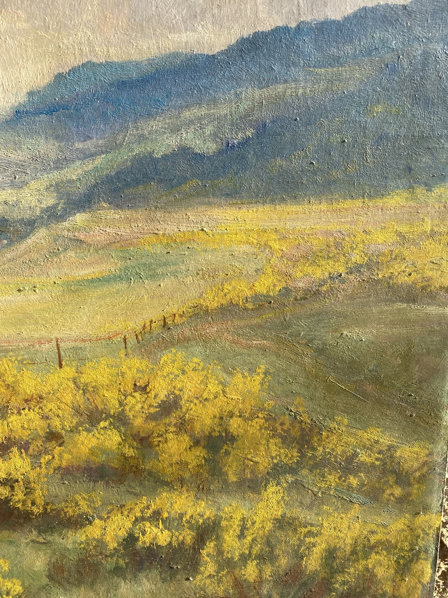 Jos Sünnen artiste peintre luxembourgeois paysage huile sur toile -photo-1