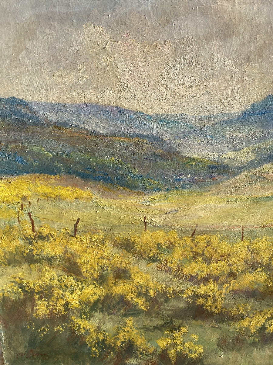 Jos Sünnen artiste peintre luxembourgeois paysage huile sur toile -photo-2