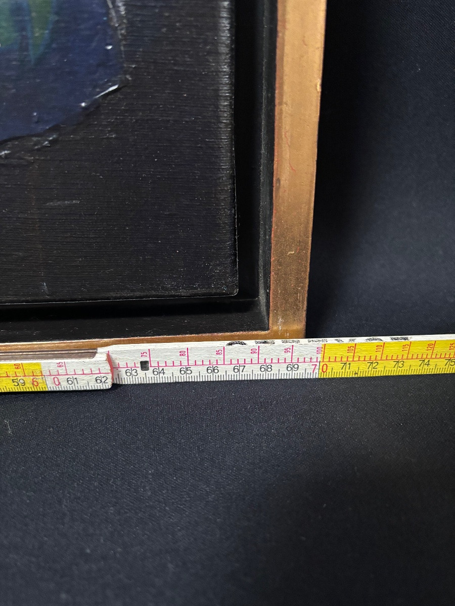 Painting Of Colorful Birds By Michel Heintz Luxembourg-photo-3