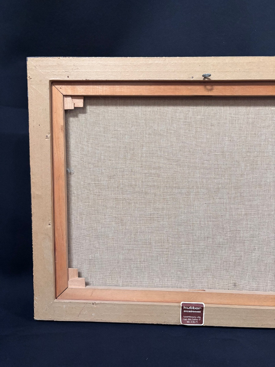 Painting Of Colorful Birds By Michel Heintz Luxembourg-photo-5