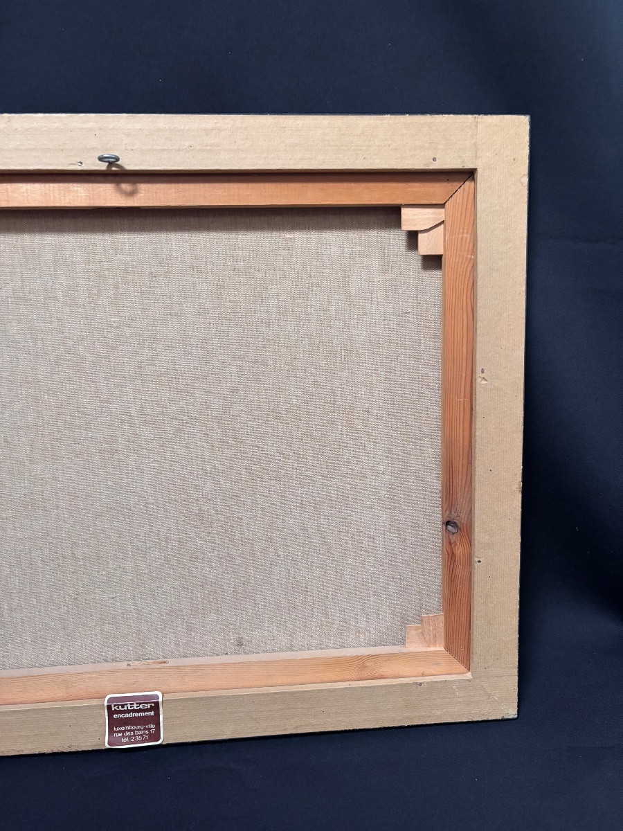 Painting Of Colorful Birds By Michel Heintz Luxembourg-photo-6