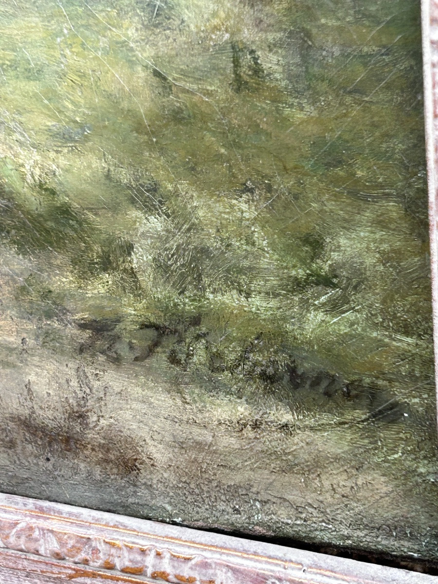 Oil On Canvas, Forest Landscape, Illegible Signature -photo-3