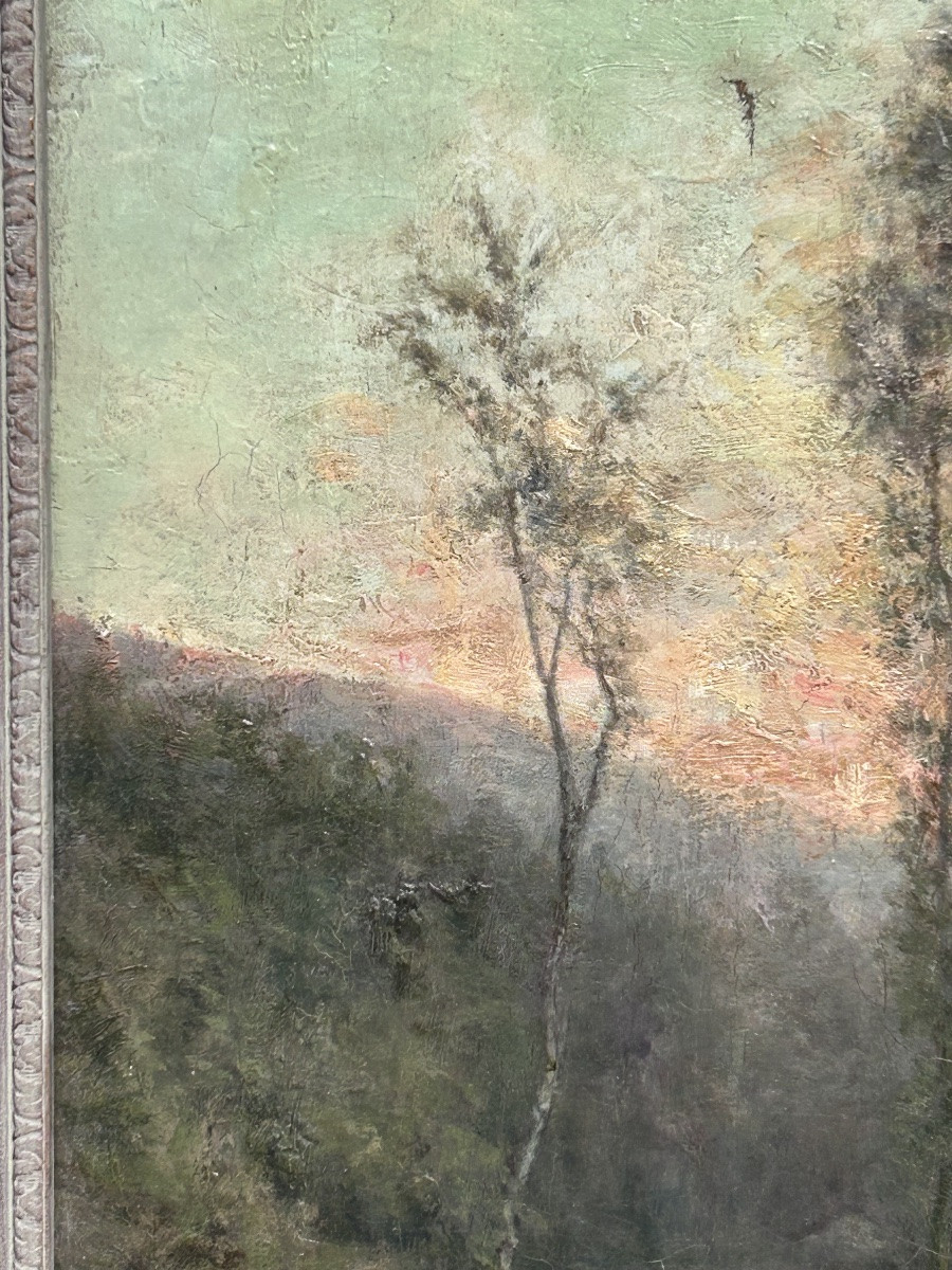 Oil On Canvas, Forest Landscape, Illegible Signature -photo-4