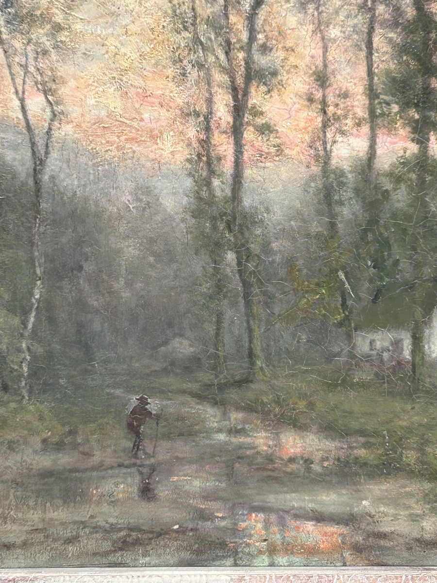 Oil On Canvas, Forest Landscape, Illegible Signature -photo-2