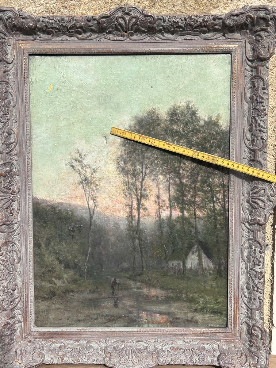 Oil On Canvas, Forest Landscape, Illegible Signature -photo-3