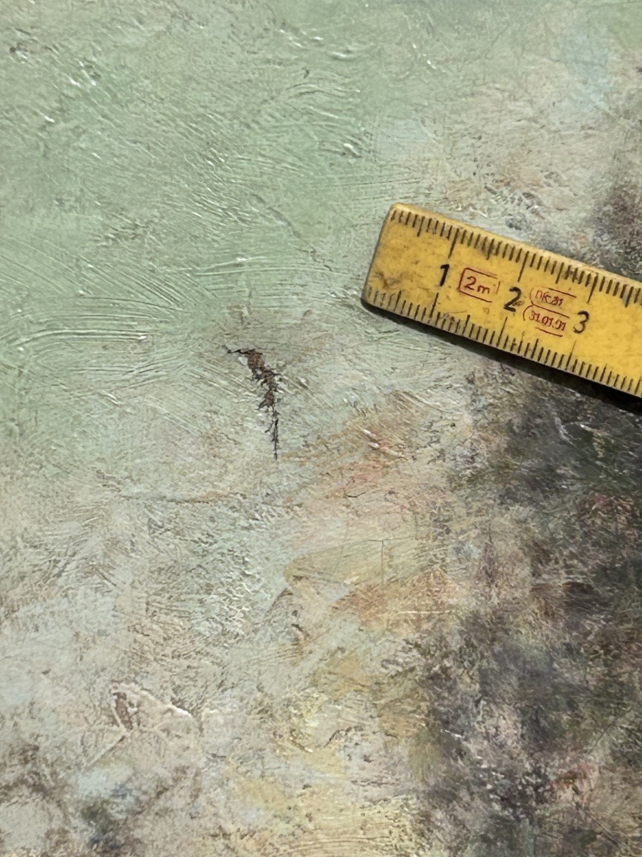 Oil On Canvas, Forest Landscape, Illegible Signature -photo-4