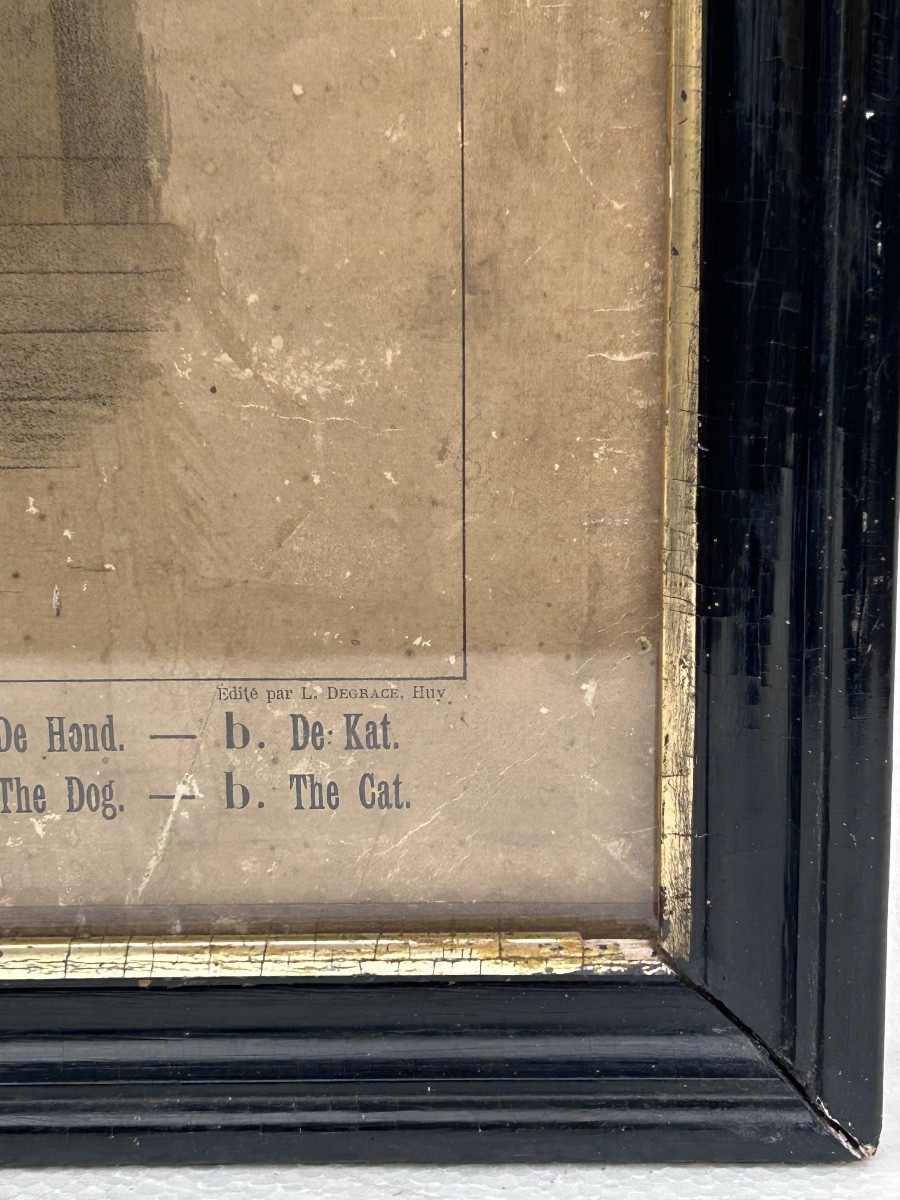 Lot de 2 gravures colorées, thème animalier-photo-4