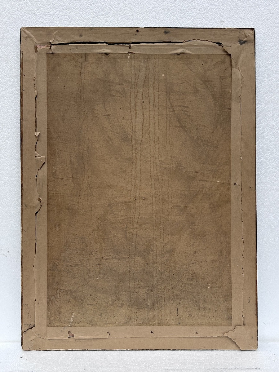 Lot de 2 gravures colorées, thème animalier-photo-1