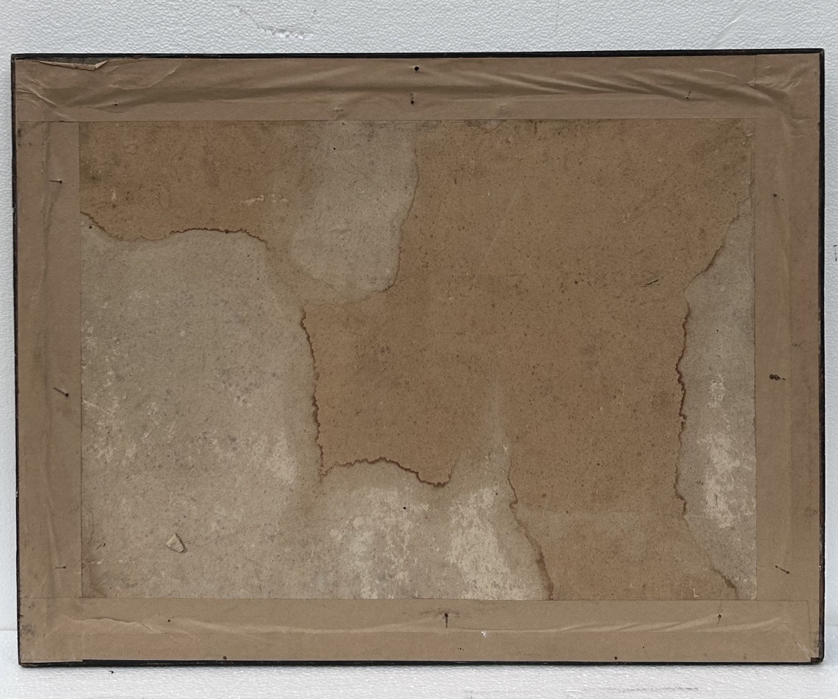 Lot de 2 gravures colorées, thème animalier-photo-7