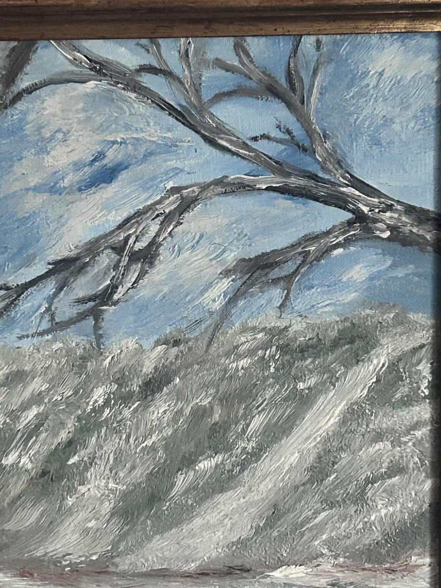 M. Steichen, huile sur toile paysage forêt en hiver -photo-2