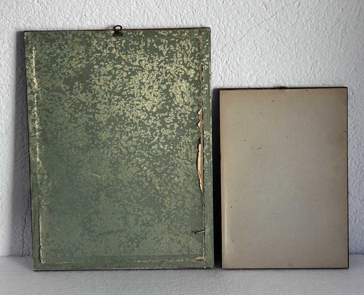 Set Of 2 Colored Engravings, Birds -photo-8