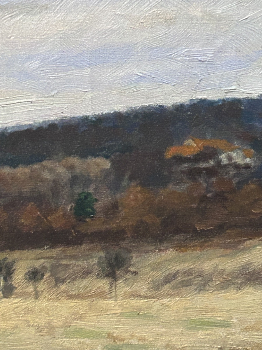 Belgian Landscape Oil On Canvas Signature To Be Defined-photo-3