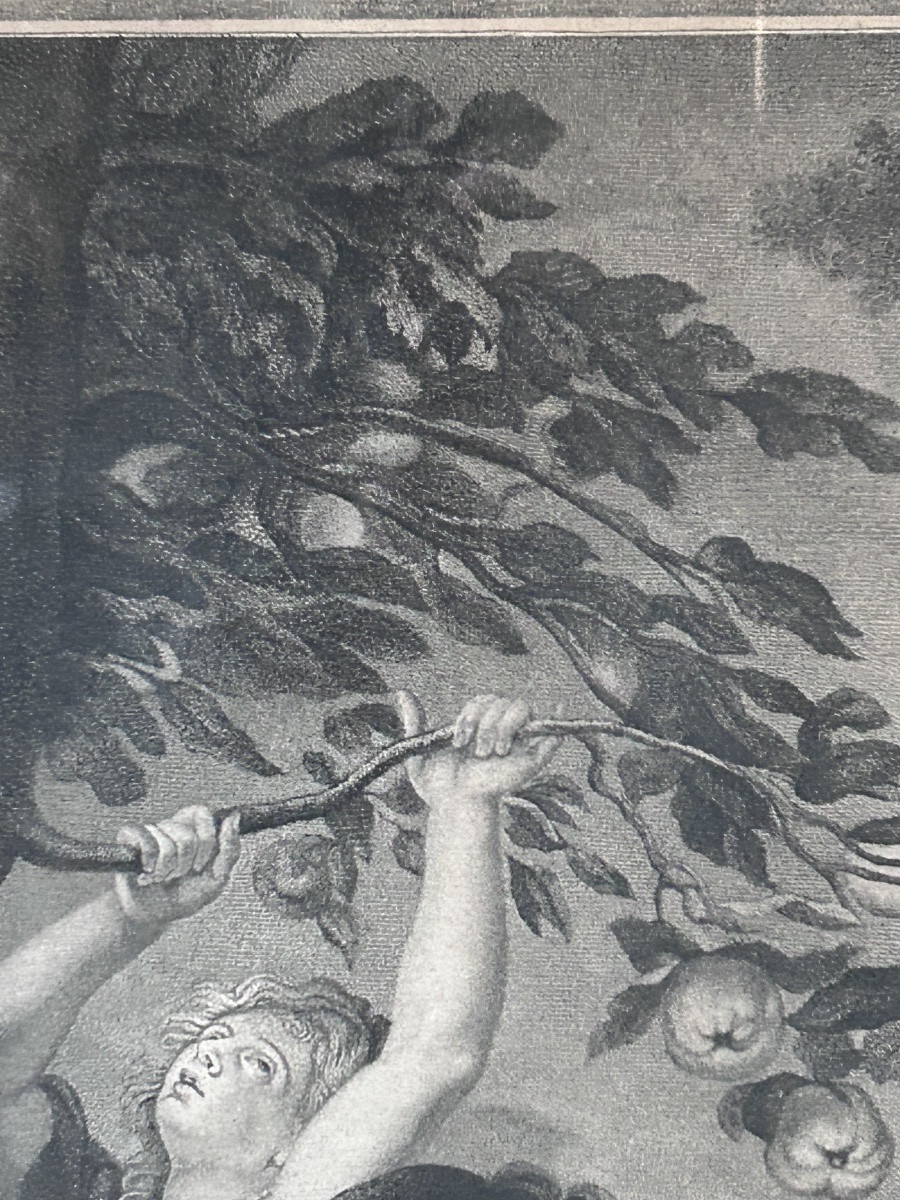 J.b Michel, Engraving « the 3 Graces » By Rubens -photo-3