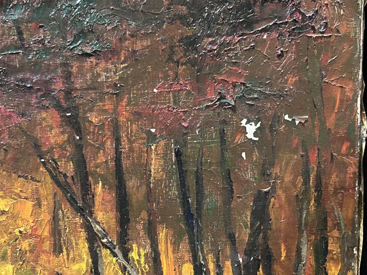 Oil On Canvas Forest Landscape, Maurice Jacque (?)-photo-3