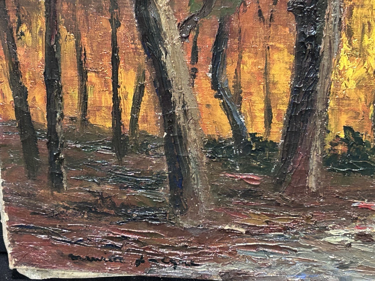 Oil On Canvas Forest Landscape, Maurice Jacque (?)-photo-5