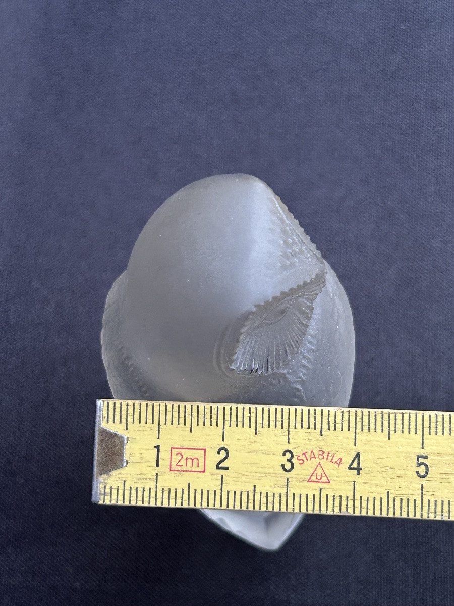 Lalique, Crystal Owl-photo-7