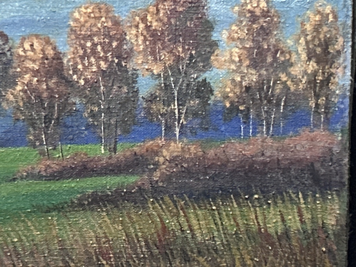 Oil On Canvas Landscape Signature To Be Identified-photo-4