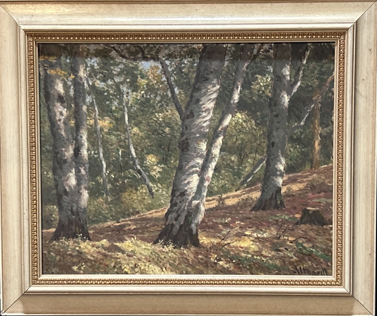 Oil On Panel Forest Landscape Signature To Be Identified-photo-2