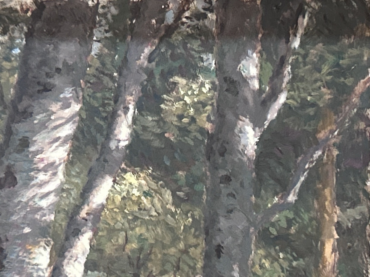 Oil On Panel Forest Landscape Signature To Be Identified-photo-4