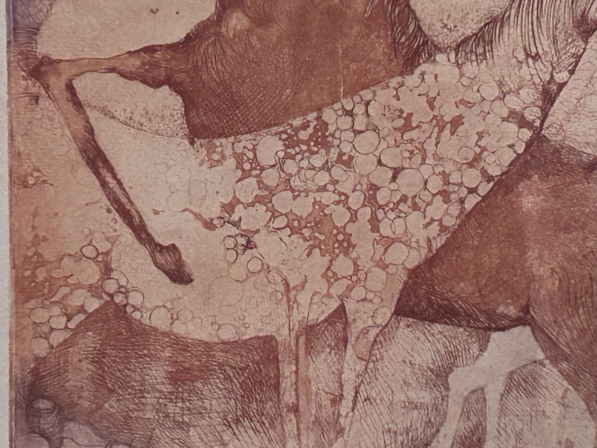 Lithographie « les licornes », 20e siècle -photo-5