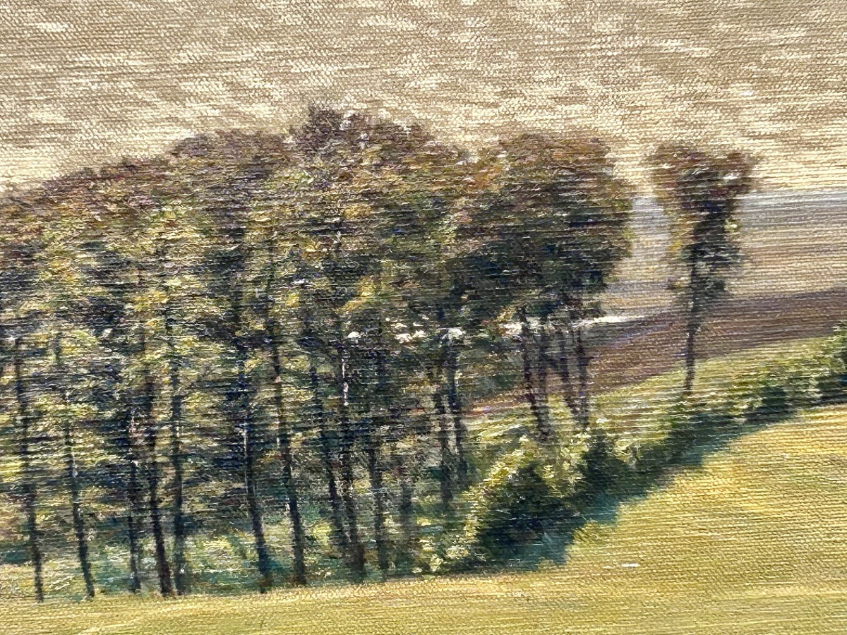 C. Beck, huile sur toile paysage danois -photo-3