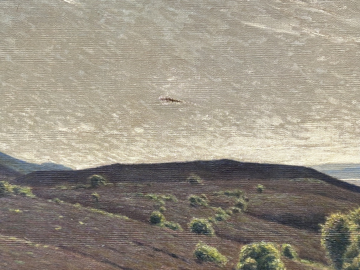 C. Beck, huile sur toile paysage danois -photo-5