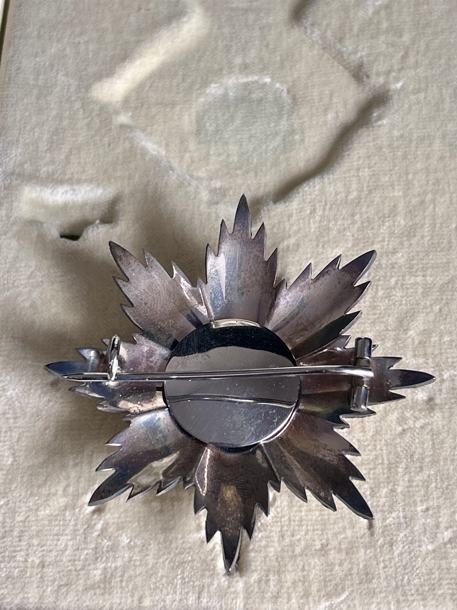 Plaque de grand officier italienne en argent et vermeil-photo-2