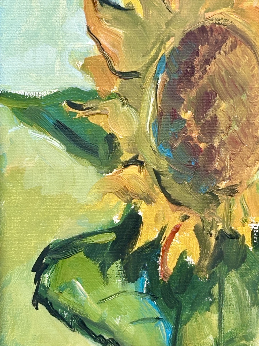 M. Schmit, huile sur toile tournesols artiste luxembourgeois -photo-8