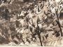 1391935-alb-66cdd9ebda172.jpg