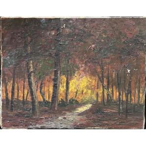 Oil On Canvas Forest Landscape, Maurice Jacque (?)