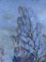 1750253-69f05b23d9e18.jpg