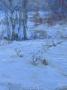 1750253-alb-69f05b4d458ad.jpg